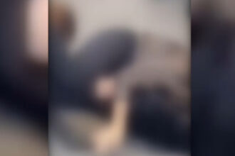 video de ce s au batut doua femei la timisoara un influencer din campania lui calin georgescu in mijlocul scandalului 69466470affc8