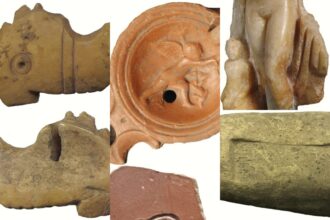 video delfinul ghidul sufletelor in antichitatea tomitana 693ca25eae96e