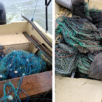 video flagrant in delta dunarii braconieri prinsi cu setci monofilament si capcane pentru raci 693a7b83369f0