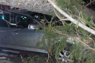 video furtuna pe valea prahovei un copac a cazut peste o masina cu trei persoane la sinaia din cauza vantului puternic 694ee49ff3ce7
