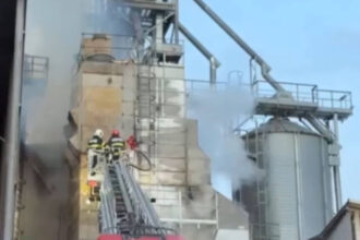 video incendiu la un uscator de cereale din tulcea ard 10 tone de seminte de floarea soarelui 692fe282b6910