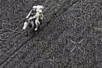 video momentul in care soldati rusi calare pe cai sunt eliminati de ucraineni nici acest lucru nu ii ajuta 6949b04e4fdb2