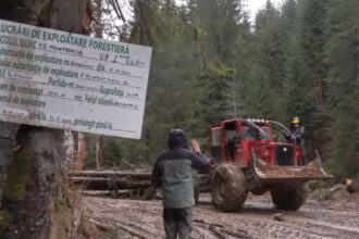 video ne cunosc ne stiu fetele cum lupta activistii de mediu cu mafia lemnului din romania 693d3b888f317