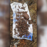 video sute de cartuse au fost descoperite in harghita in timpul unor lucrari de constructii avertismentul specialistilor 693eb3b0da259