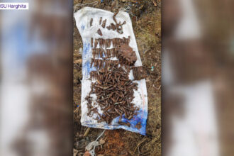 video sute de cartuse au fost descoperite in harghita in timpul unor lucrari de constructii avertismentul specialistilor 693eb3b0da259
