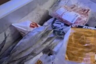 video un restaurant cu specific grecesc din constanta inchis temporar de protectia consumatorilor nereguli grave descoperite in bucatarie 6946da8ebaadb