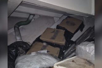 30 000 de tigarete descoperite de catre politistii de frontiera in magazia unei nave in portul constanta 6973590fe5f68