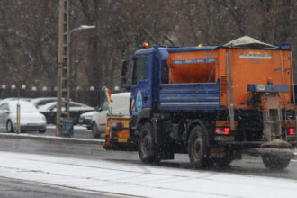 autoritatile locale din capitala intervin pentru deszapezire pompierii au indepartat patru copaci doborati de vant 696020b9004d3