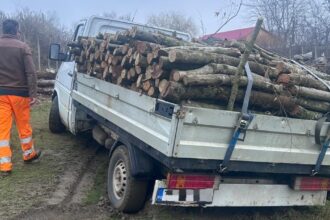 barbat din macin prins de politisti cu o camioneta plina de lemne fara documente 695f8c1b75224