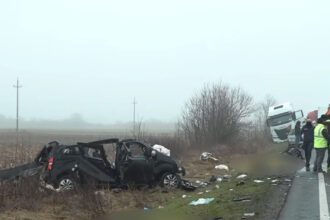 cum s a putut produce accidentul de pe dn6 soldat cu 7 morti explicatiile lui titi aur se intampla la soferii cu multa experienta 6978ea6f05f6e