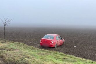 din ce cauza s a produs accidentul de pe dn 22 la limita judetelor tulcea si constanta 695a93a639869