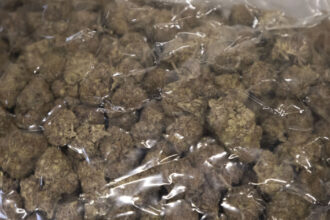 doi barbati sunt cercetati de diicot pentru trafic de droguri dupa ce au fost prinsi in flagrant cu 35 kilograme de canabis 6957ab18a4c86