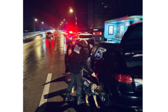 razii de amploare in medgidia tessa cainele politist in teren alaturi de politisti ce amenzi au fost aplicate 695a509e5c9fd