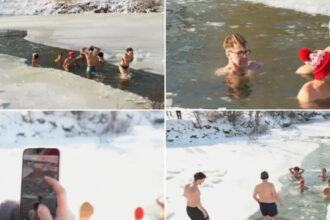 video baie la copca la 7 celsius minute in sir mai multi tineri din timis au acceptat provocarea la un moment dat ti se pare calda 6965e558d5178