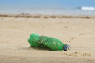 video cercetatorii avertizeaza peste cu microplastic pe masa romanilor marea neagra poluata masiv 6968b5fcf133e