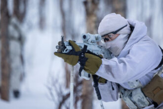 video danemarca a acceptat de principiu ca nato sa consolideze securitatea in arctica 6973a45e7675a