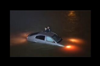 video doi politisti au sarit in rau pentru a salva o soferita ce plonjase cu masina in apele reci ce spune sindicatul europol 695f575599c04