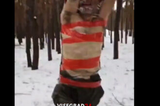 video imagini cu impact emotional cum tortureaza comandantii rusi soldatii care refuza sa mai lupte pe frontul din ucraina 6978847266d32