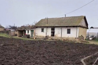 a fost arestata si mama copilului din judetul tulcea ucis in bataie este suspecta de omor calificat savarsit prin cruzimi 699498ff9c328