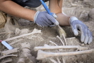 descoperire macabra in serbia 77 de femei si copii ucisi intr un masacru brutal si deliberat acum 2 800 de ani 69a2f3c3b053c