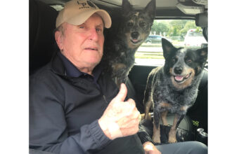 doliu la hollywood s a stins robert duvall cunoscut din seria nasul 69936aa9f19fb