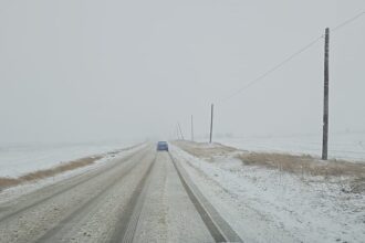 femeie insarcinata in opt luni implicata intr un incident rutier pe dn22 la mihai viteazu dupa ce masina a ajuns in sant 699599cd079c3