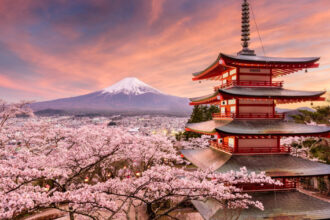 festivalul ciresilor infloriti din japonia anulat din cauza comportamentului turistilor care sunt probleme mentionate de autoritati 6984cb8f4f8b1