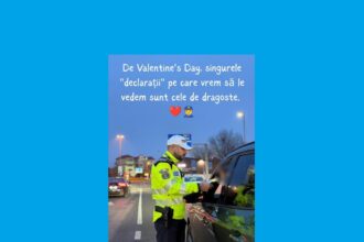 ipj constanta mesaj deosebit de ziua indragostitilor de valentines day singurele declaratii pe care vrem sa le vedem sunt cele de dragoste 6990502bb3439
