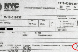 moartea lui jeffrey epstein trebuie reinvestigata spune un medic care a asistat la autopsia cadavrului infractorului sexual 698f4ce775380