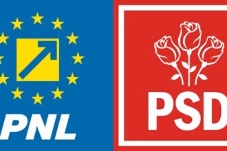 pnl baga batul prin gardul psd inainte de sosirea lui grindeanu la constanta mai multe organizatii in negocieri sa mearga alaturi de mitroi 699f786b6f651