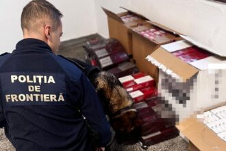 politistii de frontiera au descoperit 54 000 de tigarete de contrabanda la bordul unei nave in portul constanta 6989d3e30db57