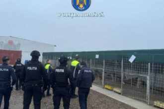 video perchezitii in judetul vrancea dupa ce zeci de caini dintr un adapost au fost ucisi sau maltratati 698ee015288d5