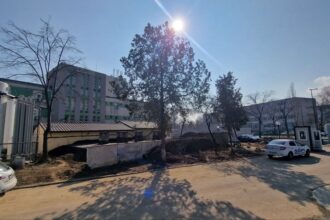 acuzatii de malpraxis la spitalul de boli infectioase constanta cu daune pretinse de 300 000 de euro vezi aici cand se pronunta judecatorii 69b23bdf0ec97