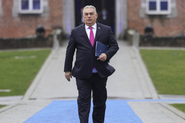 ar fi trebuit sa astepte rezultatul alegerilor temeri in randul criticilor europeni ai lui orban ue a cazut intr o capcana 69bfca928b9be