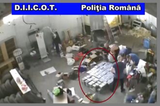 cel mai mare dosar de trafic de droguri din portul constanta la un pas de rejudecare iata ce au decis judecatorii 69bfc2a1b39a1