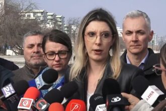 diana buzoianu ministrul mediului explica pe plaja navodari mecanismul prin care au aparut constructiile ilegale din zona costiera ce rol au avut primariile 69b40f4891c78