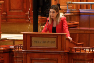 diana buzoianu vizata de a doua motiune simpla in mai putin de un an schimbare de plan la psd nu va mai vota demersul opozitiei 69ca72b1492a8