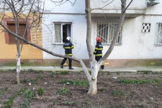 foto video interventie de urgenta pe strada arcului din constanta o femeie care nu mai raspundea la telefon salvata de pompieri 69a703738ca14
