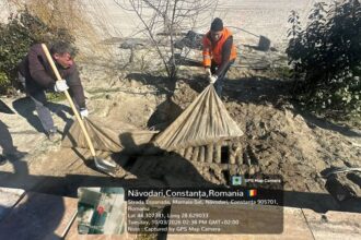 instalatii ingropate ilegal descoperite pe plajele din navodari 69b26882bf16d