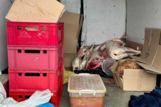 peste 600 de kilograme de alimente confiscate de inspectorii dsvsa constanta din targul de pe varianta ovidiu 69ca2027b0f76