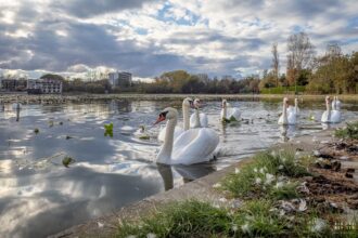 puz ul companiei pontoane ro pentru investitia de pe lacul neptun publicat in transparenta decizionala de primaria mangalia cazare in varianta lacustra si agrement nautic 69bbe353b4cfa