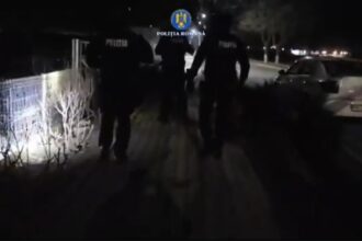 video descinderi in patru judete intre care si constanta intr un dosar privind eutanasierea ilegala a cainilor fara stapan 69a93fe9939ab