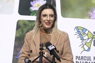 video diana buzoianu padurea baneasa poate fi parc natural arie protejata cand vom avea documentele ministerul mediului va face acest pas 69be9fdeebce3