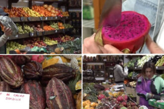 video romanii au prins gustul fructelor exotice cum s au transformat aprozarele clasice in afaceri cu rambutan jackfruit sau mangustan 69b7b74f3a2c3