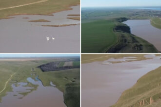 video un lac din olt secat ani la rand s a reumplut dupa ploile si ninsorile din ultimele luni au inceput sa apara si pasarile 69b63f34a3982