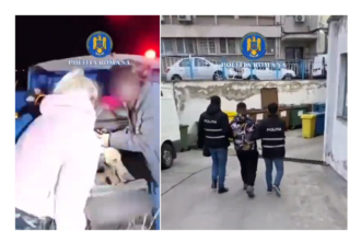 video urmarire ca n filme un braconier a fost retinut dupa ce a avariat intentionat o autospeciala de politie nu avea nici permis auto 69b31cb7d28c4