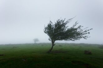 alerta meteo cod galben pentru doua zile vezi aici zona vizata 69dca77f9ab30