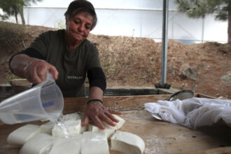 branza halloumi in pericol fermierii ciprioti se confrunta cu o epidemie mortala iar solutia depinde de acordul turcilor din nord 69dcb64a7cb9d