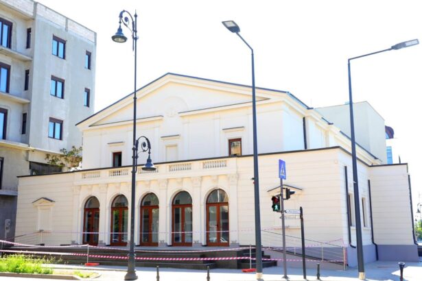 consiliul judetean constanta propune prelungirea colaborarii cu teatrul de stat pentru stagiunile 2026 2029 ce obligatii revin cjc ului si primariei 69e2f8ad5e404