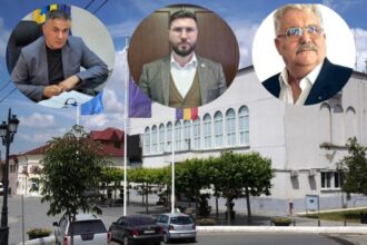 cuibul de viespi sau de cuci la alegere cateva detalii despre interesele si viata politica si administrativa din cernavoda 69ced5d8797bf